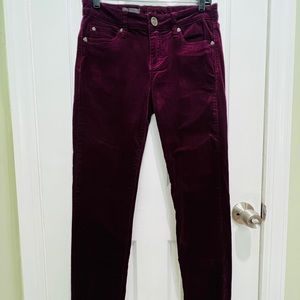 KUT from the Kloth Cords Purple Pants
